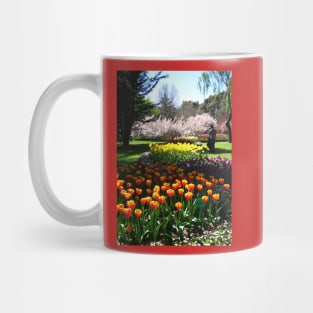 Tulip Time in Canberra Australia 9 P Mug